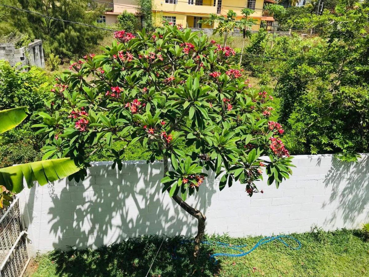 Breeze Du Nord Villa Grand Baie Exterior photo